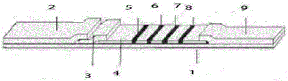 Myocardial infarction triple rapid detection kit and preparation method for same