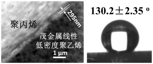 A kind of polyethylene hydrophobic material and preparation method thereof