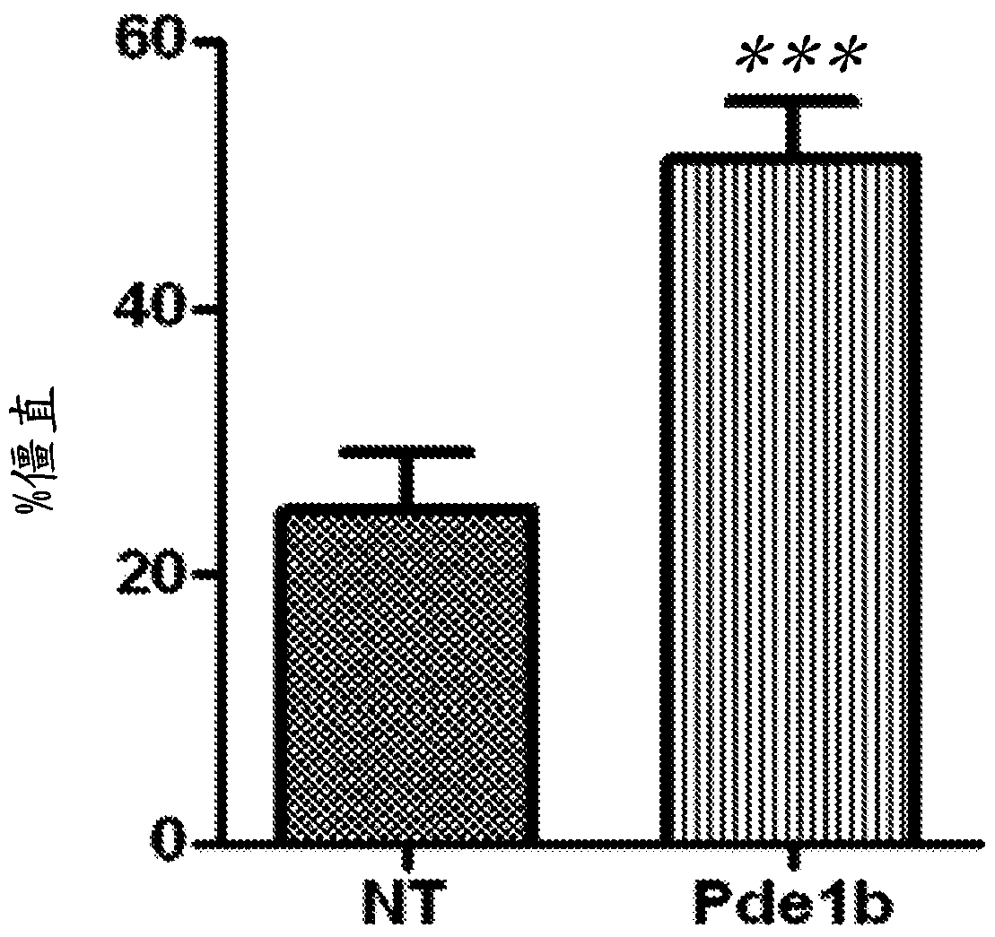 Substituted thiophene-fused and furan-fused azolopyrimidin-5-(6h)-one compounds