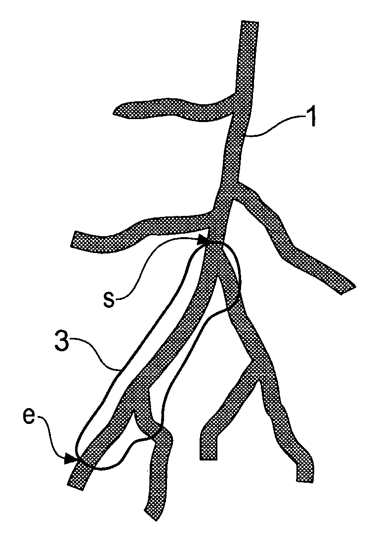 Method for determining a path along a biological object with a lumen