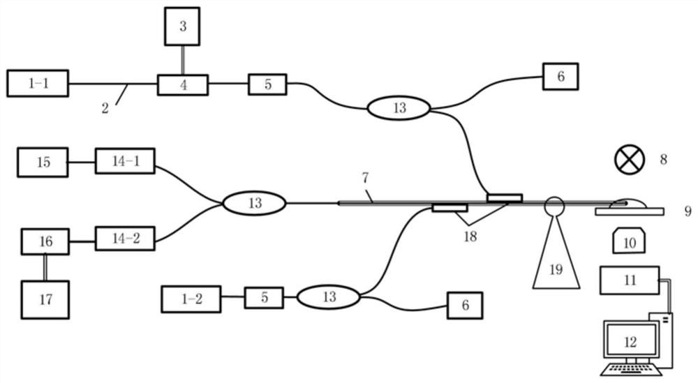 In vivo single-cell multifunctional spectrometer based on coaxial dual-waveguide fiber