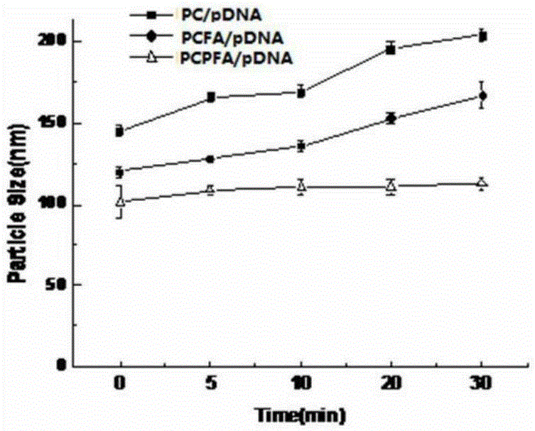 Nano particle composition and anti-tumor application thereof