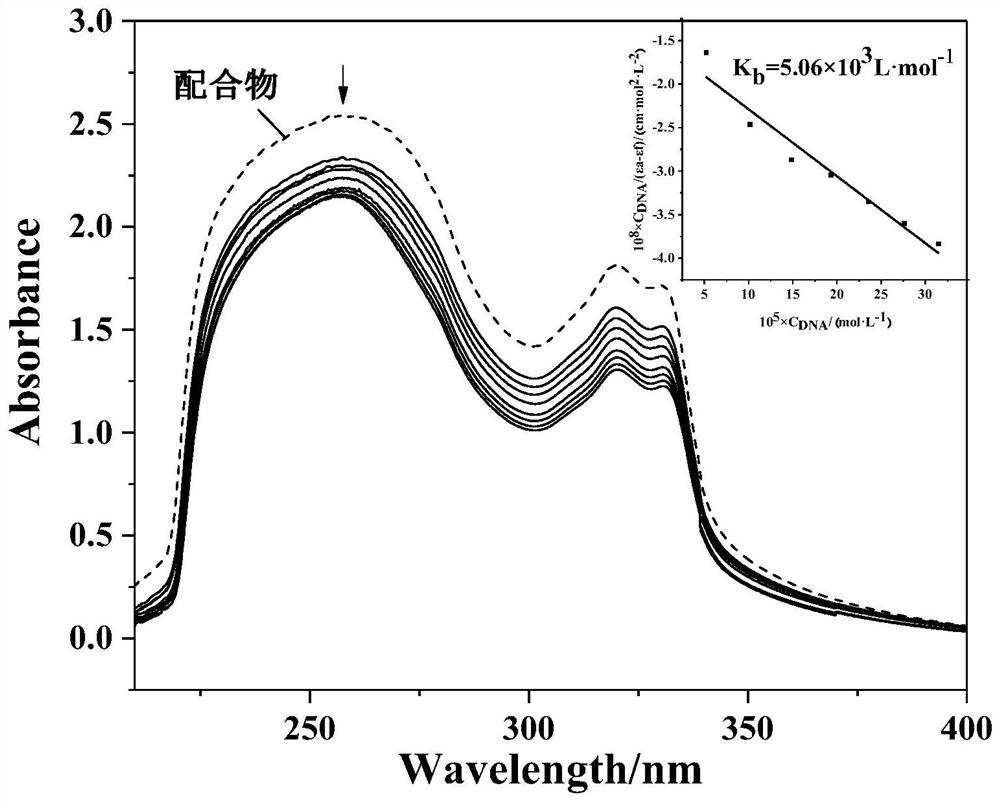 Novel copper metal complex and preparation method and application thereof