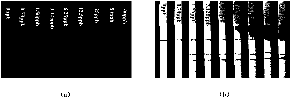 Fluorescent quenching test paper for detecting field okadaic acid as well as a preparation method and application of the fluorescent quenching test paper