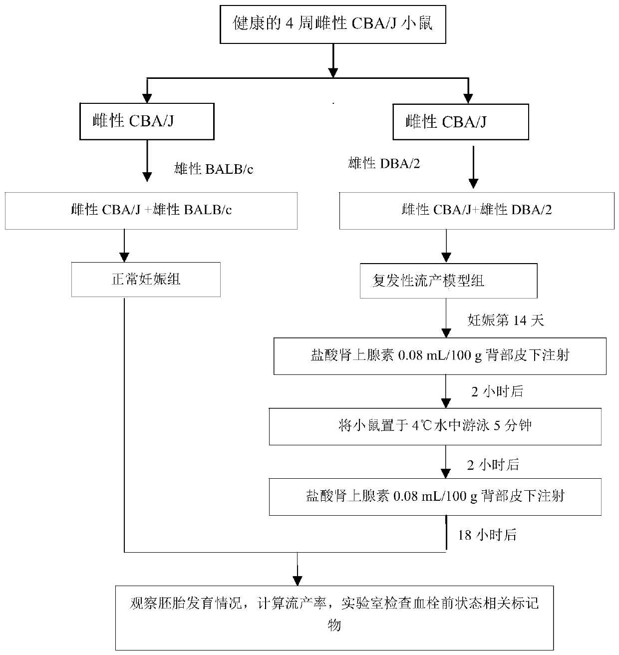 Method for establishing easily aborting animal models