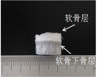 A cartilage-bone repair scaffold with bionic gradient and its preparation method
