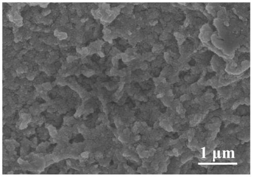 CoS2/CoS2-NC catalytic electrode material with three-dimensional core-shell structure as well as preparation method and application of catalytic electrode material