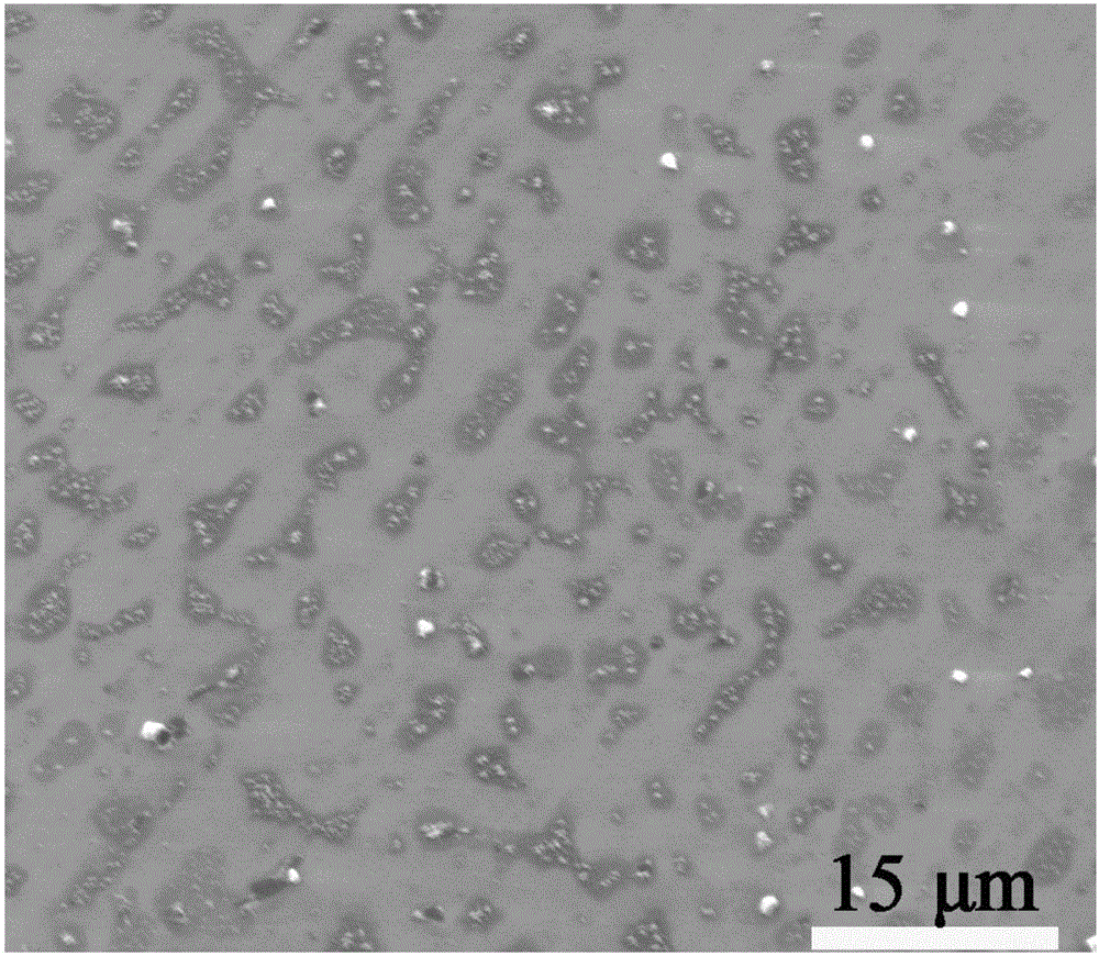 Amphiphilic modified nano lamellar molybdenum-selenide-based auxiliary agent used for carbon fiber sizing agent