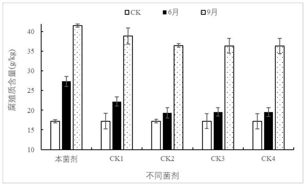 Cold region straw decomposing inoculant as well as preparation method and application thereof