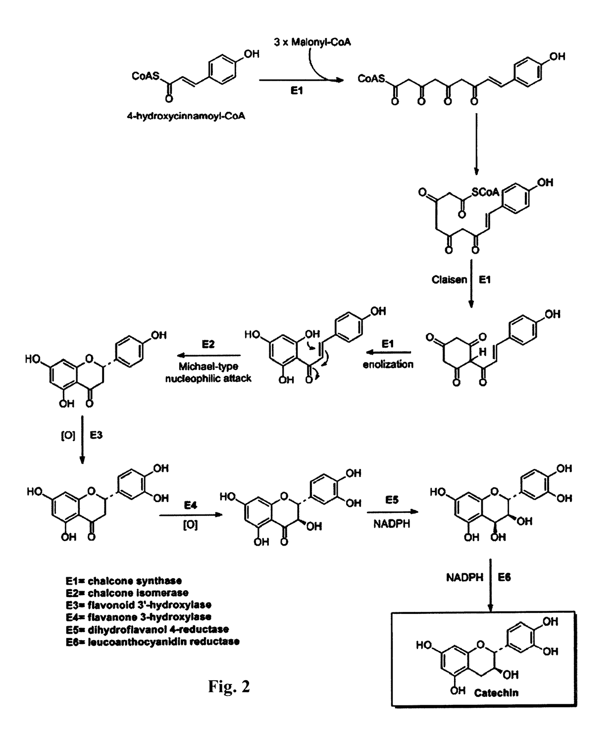 Agent containing flavonoid derivatives for treating cancer and inflammation