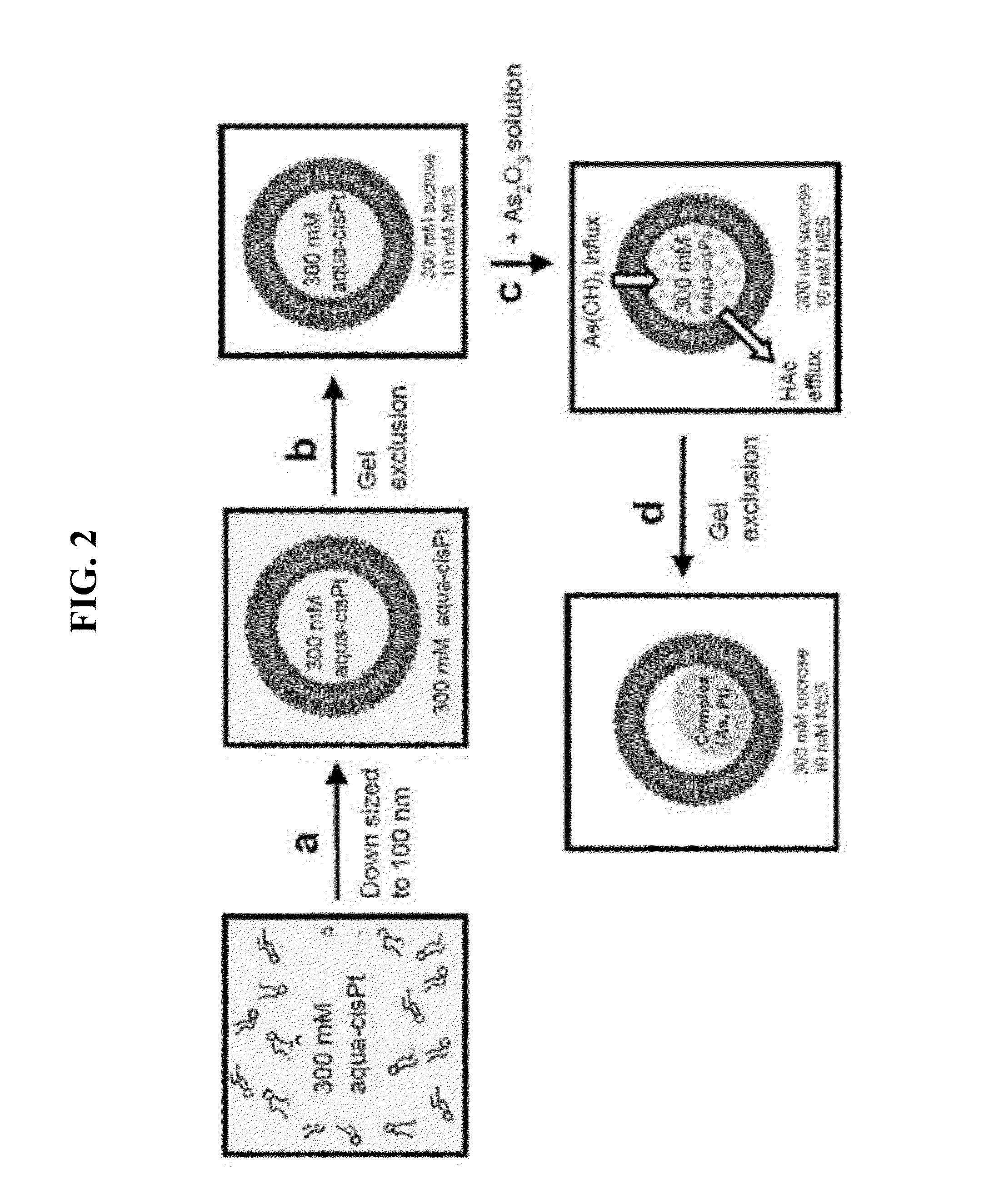 Nanoparticle arsenic-platinum compositions