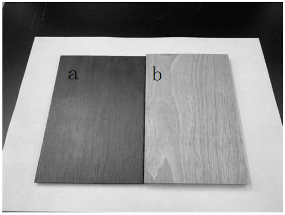 Preparation method of compressed rubber wood with stable size and mildew resistance