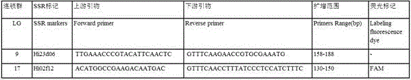 SSR (simple sequence repeat) molecular marker V for identifying descendant plants of Gala apple and application thereof