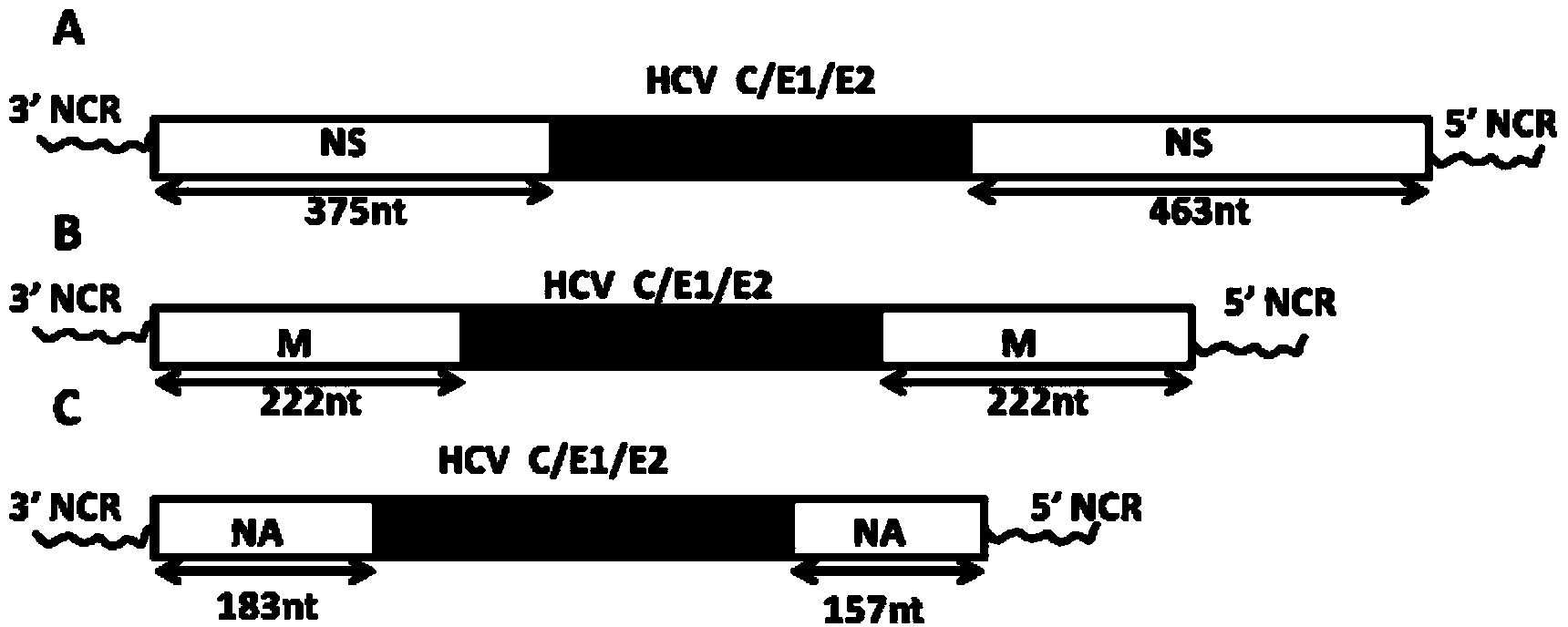 Chimeric HCV (hepatitis C virus) vaccine taking influenza virus as carrier and preparation method thereof