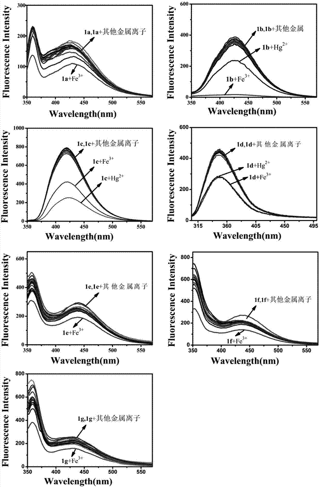 Benzoyl amide derivative fluorescence probes for identifying and detecting ferric ion and divalent mercury ion, preparation method and application thereof