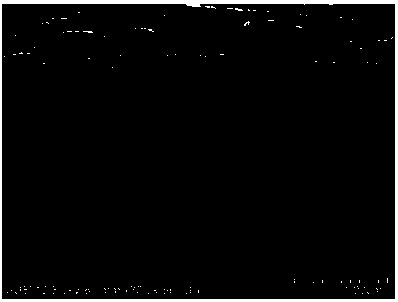 Monovalent selective cation exchange membrane based on cross-linked quaternary polyaniline and preparation method of monovalent selective cation exchange membrane