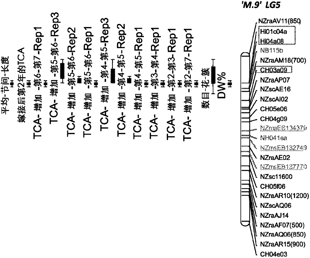 Compositions and methods for manipulating the development of plants