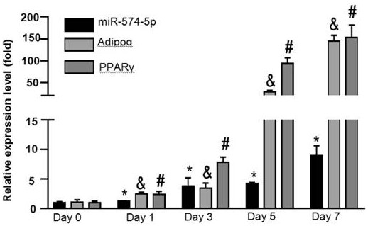 Medical application of miR-574-5p to diabetes and related diseases thereof