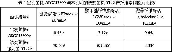 A cellulase-producing mutant strain Fusarium yl2 and its screening and culture methods