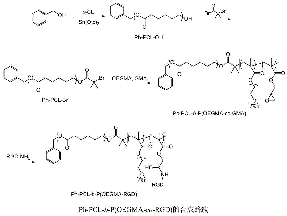 Bufalin-loaded polypeptide-modified poly(oligo(ethylene glycol)methacrylate)-polycaprolactone (Ph PCL b P(OEGMA co RGD) bufalin) nanometer preparation