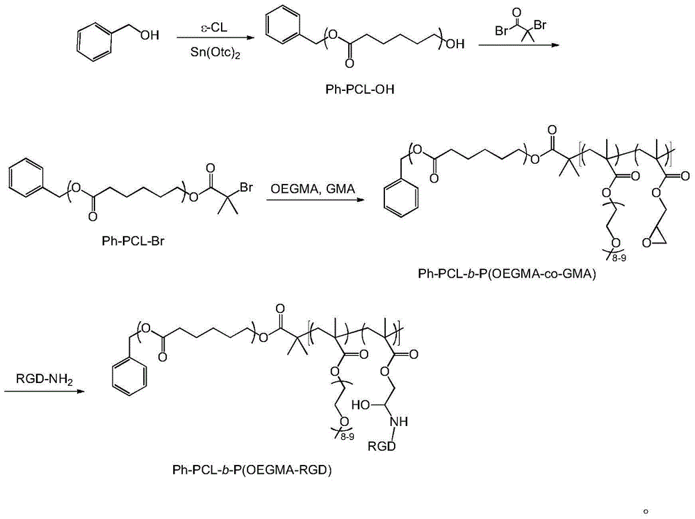 Bufalin-loaded polypeptide-modified poly(oligo(ethylene glycol)methacrylate)-polycaprolactone (Ph PCL b P(OEGMA co RGD) bufalin) nanometer preparation