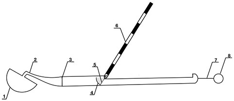 Oral cavity examination ruler for edentulous jaw