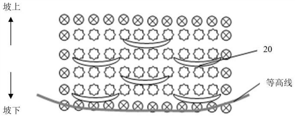 A method to promote the formation of uniform litter and humus layer in slope broad-leaved forest