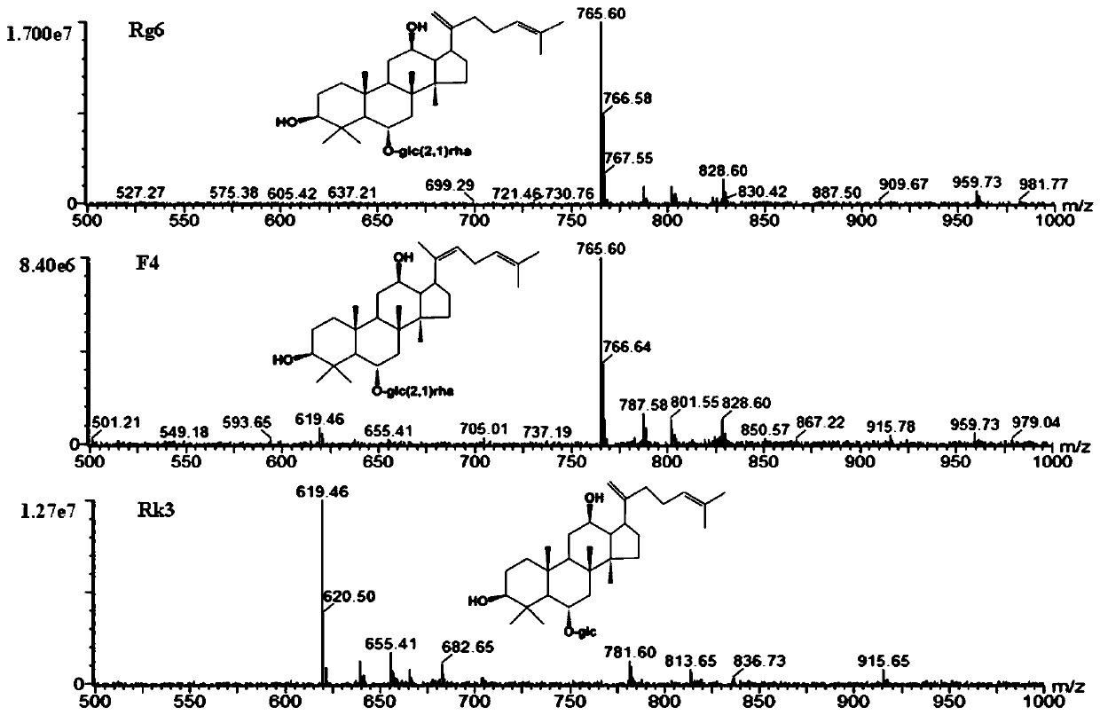 Application of transformed type ginsenosides in preparation of hypolipidemic drugs