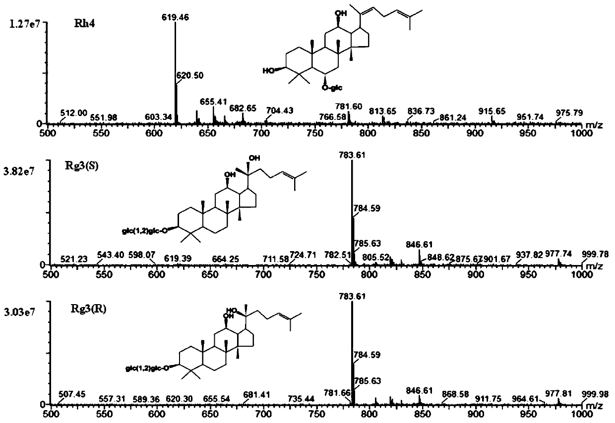 Application of transformed type ginsenosides in preparation of hypolipidemic drugs