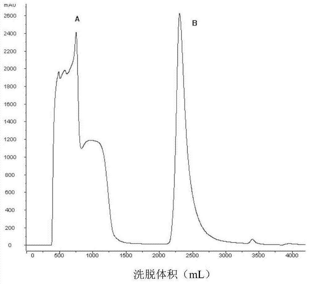 A kind of purification production method of recombinant human bone morphogenetic protein-2