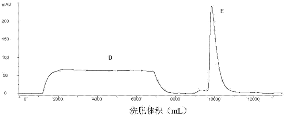 A kind of purification production method of recombinant human bone morphogenetic protein-2
