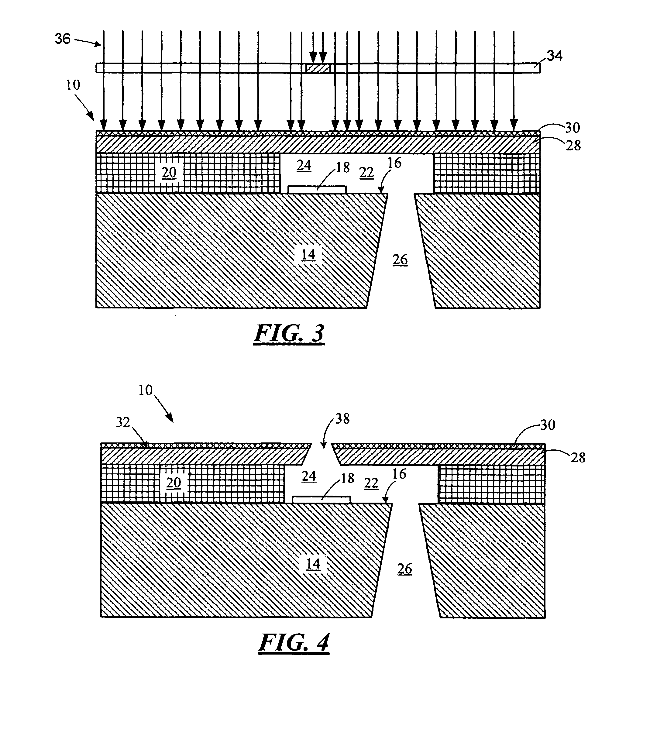 Hydrophobic nozzle plate structures for micro-fluid ejection heads