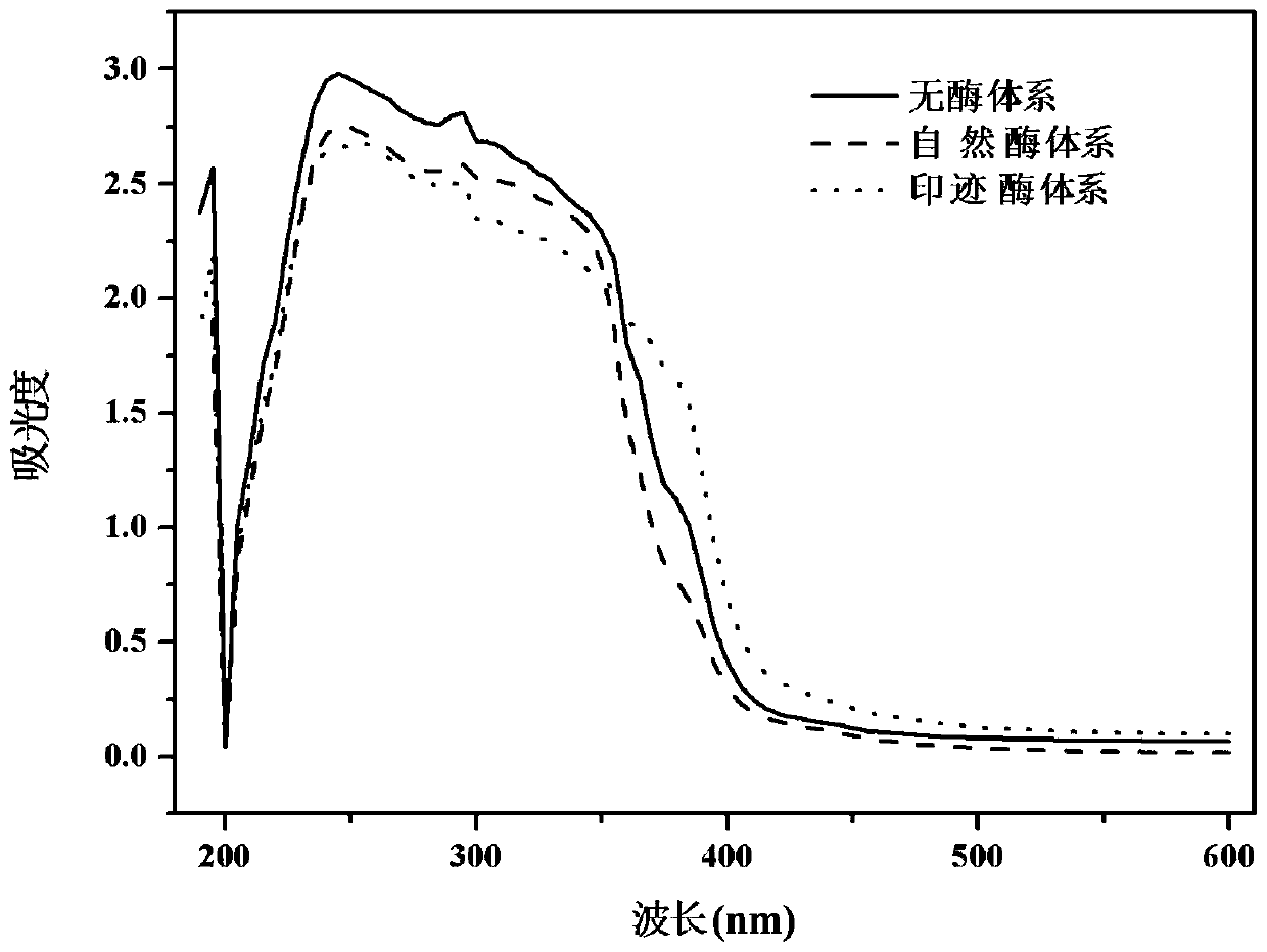 A kind of synthetic method of propyl p-hydroxybenzoate