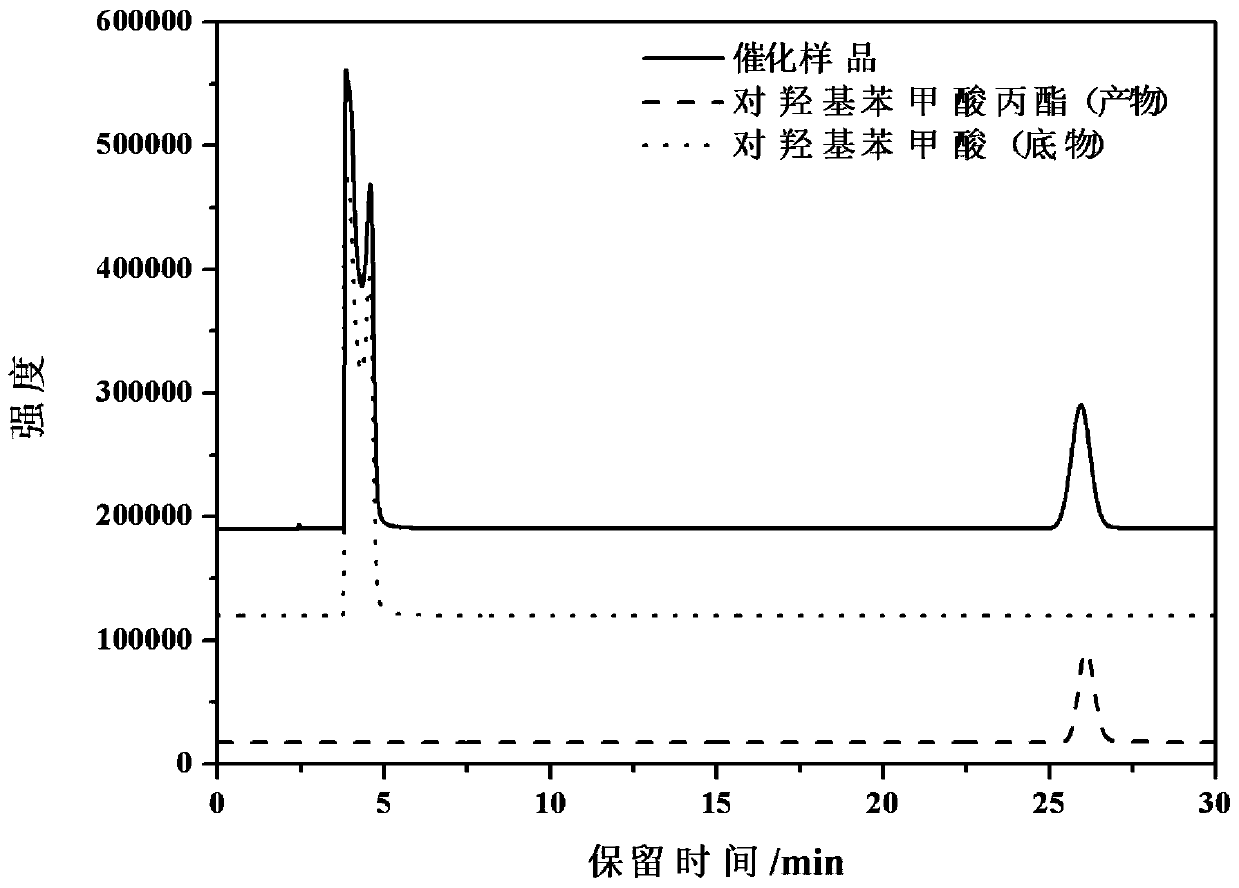 A kind of synthetic method of propyl p-hydroxybenzoate