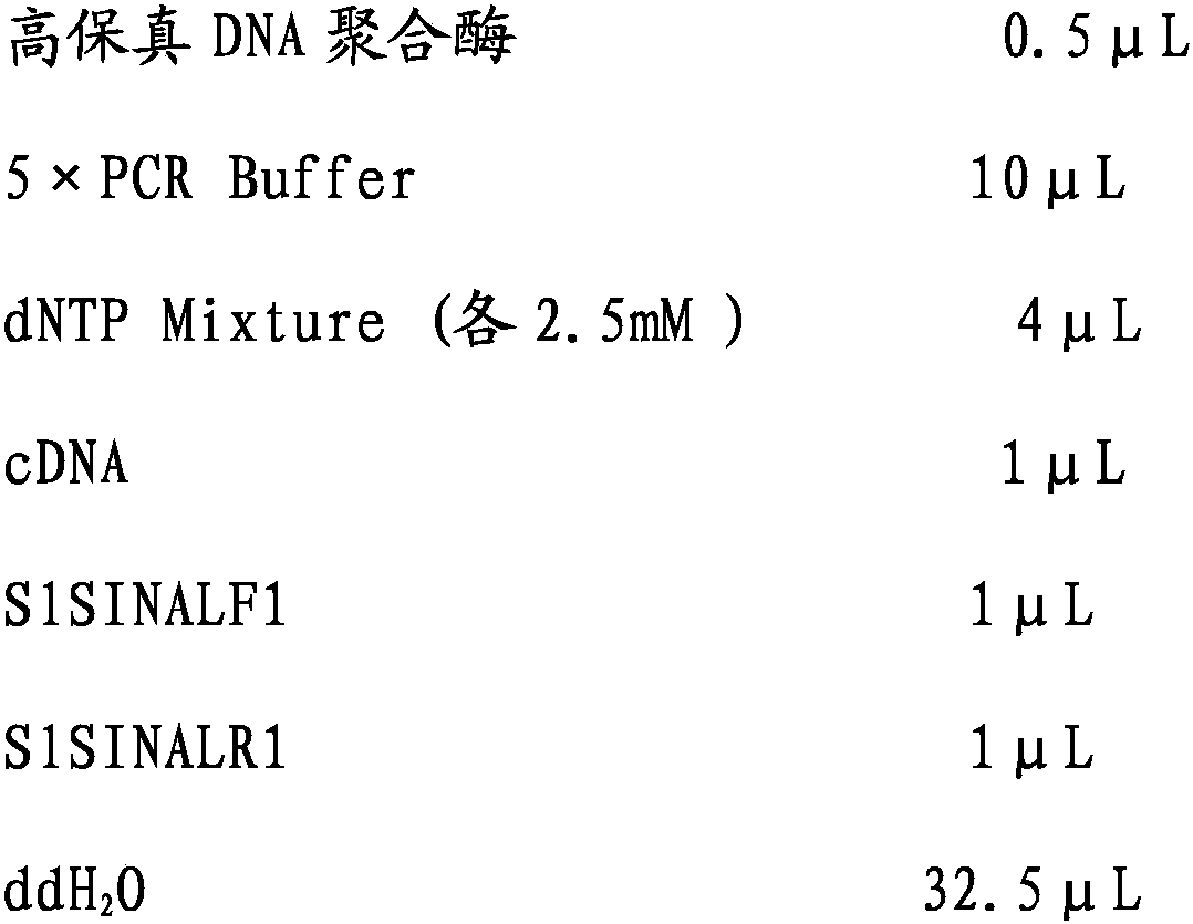 Tomato ubiquitin ligase gene and application thereof