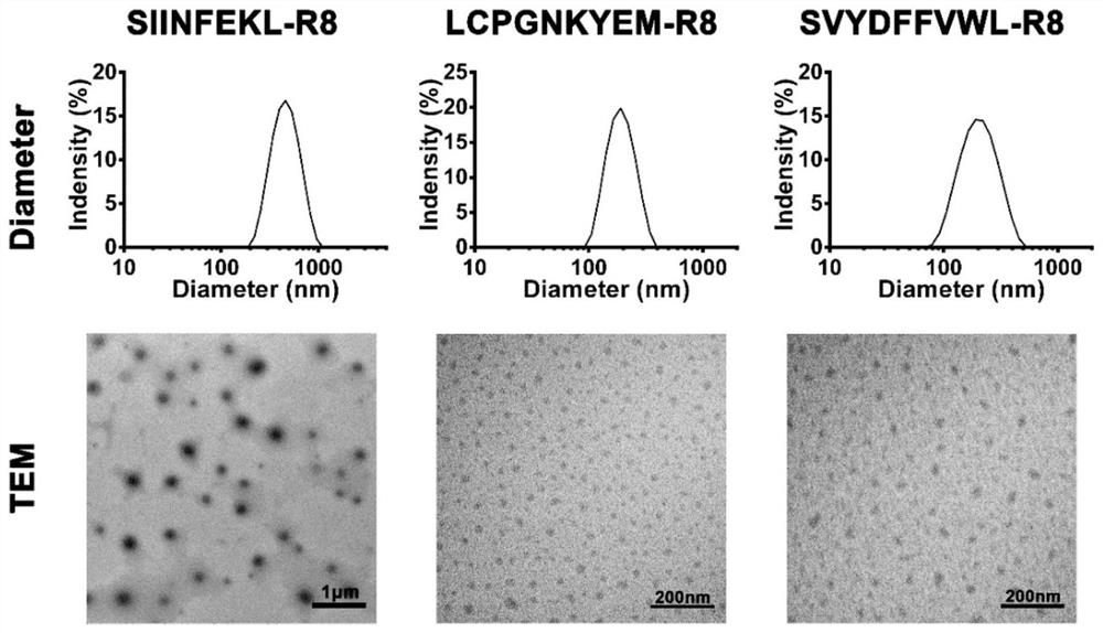 Preparation and application of cationic epitope vaccine