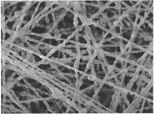 A kind of composite nanofiber filter material with photocatalytic/antibacterial function and preparation method thereof