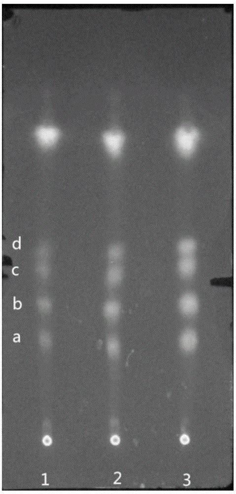 Method for detecting residuals of sulfanilamide medicaments by portable imaging method and applications thereof