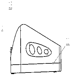 Domestic urine analyzer