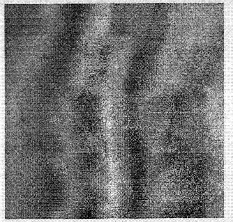 Method of differentiating martensite in cast ferrite stainless steel and calculating martensite -phase contents