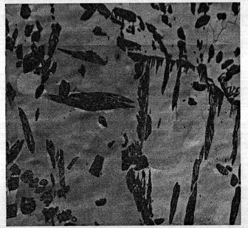 Method of differentiating martensite in cast ferrite stainless steel and calculating martensite -phase contents