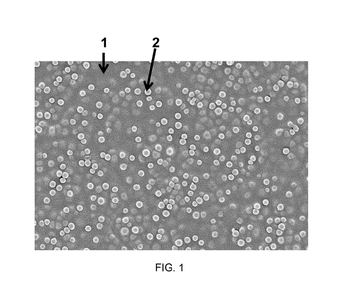 Hydrogel-based contact lens and methods of manufacturing thereof
