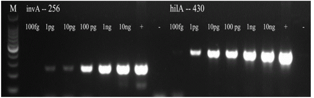 Primer group for multi-PCR detection of Staphylococcus aureus and salmonellae in food, kit and detection method