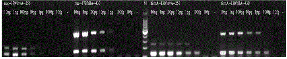 Primer group for multi-PCR detection of Staphylococcus aureus and salmonellae in food, kit and detection method