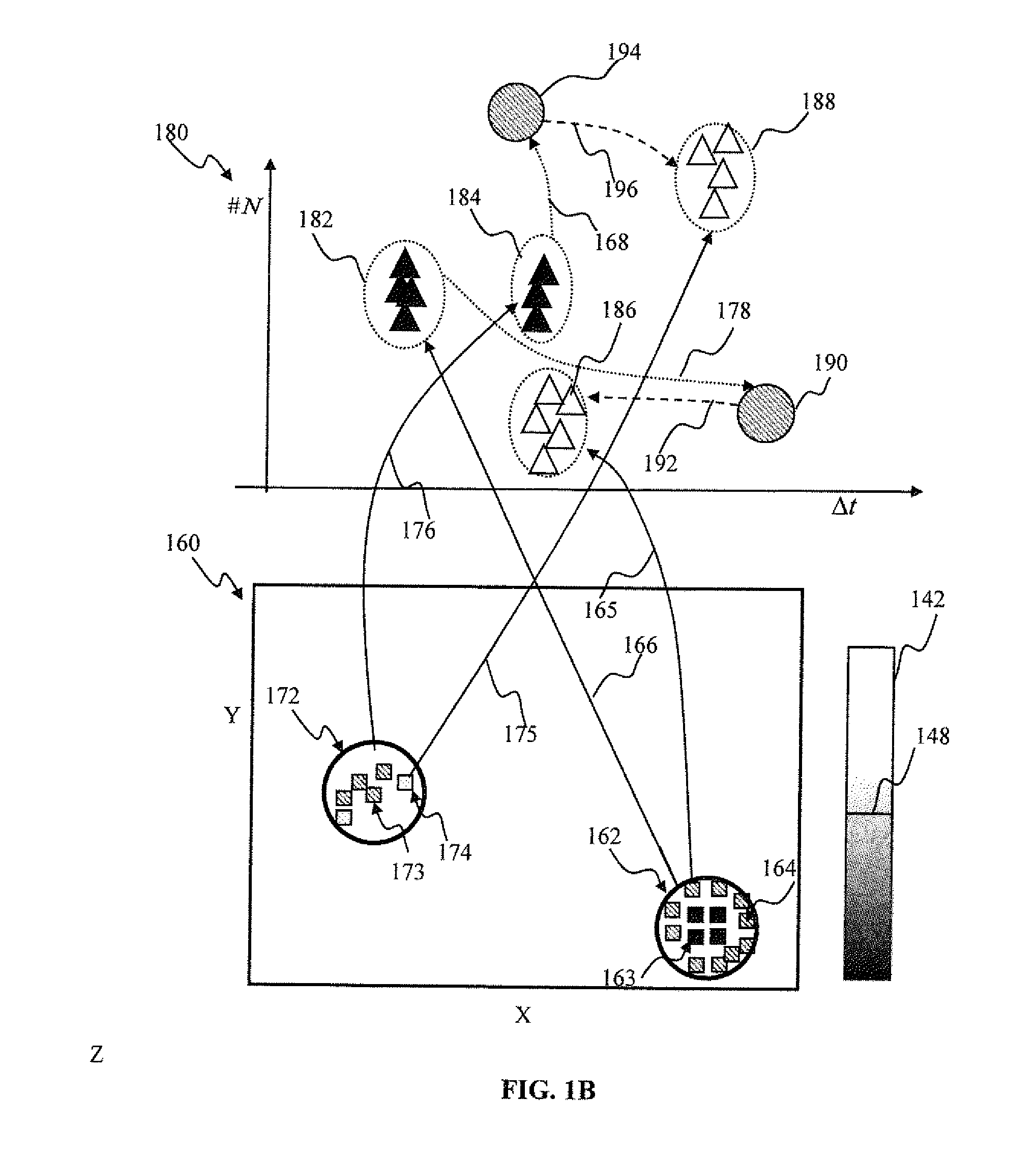 Temporal winner takes all spiking neuron network sensory processing apparatus and methods