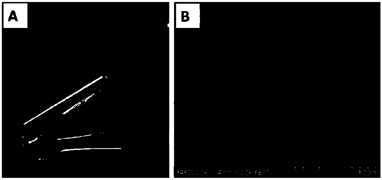 A kind of preparation method of short peptide/silicon dioxide/hyaluronic acid composite hydrogel