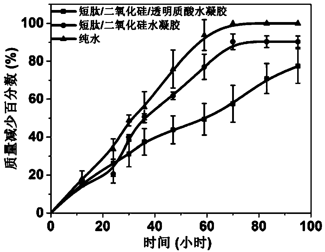 A kind of preparation method of short peptide/silicon dioxide/hyaluronic acid composite hydrogel