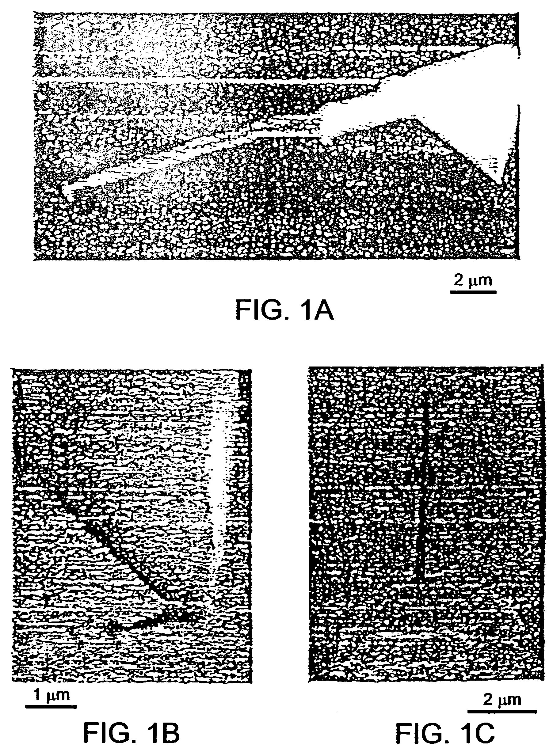 AFM cantilevers and methods for making and using same