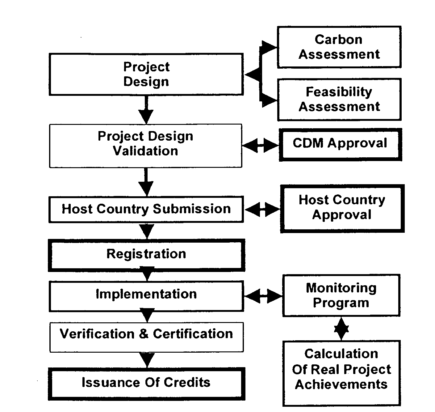 Carbon credit workflow system