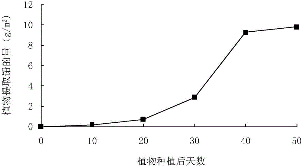 Phytoremediation combination method for severe-plumbum-pollution paddyfield soil